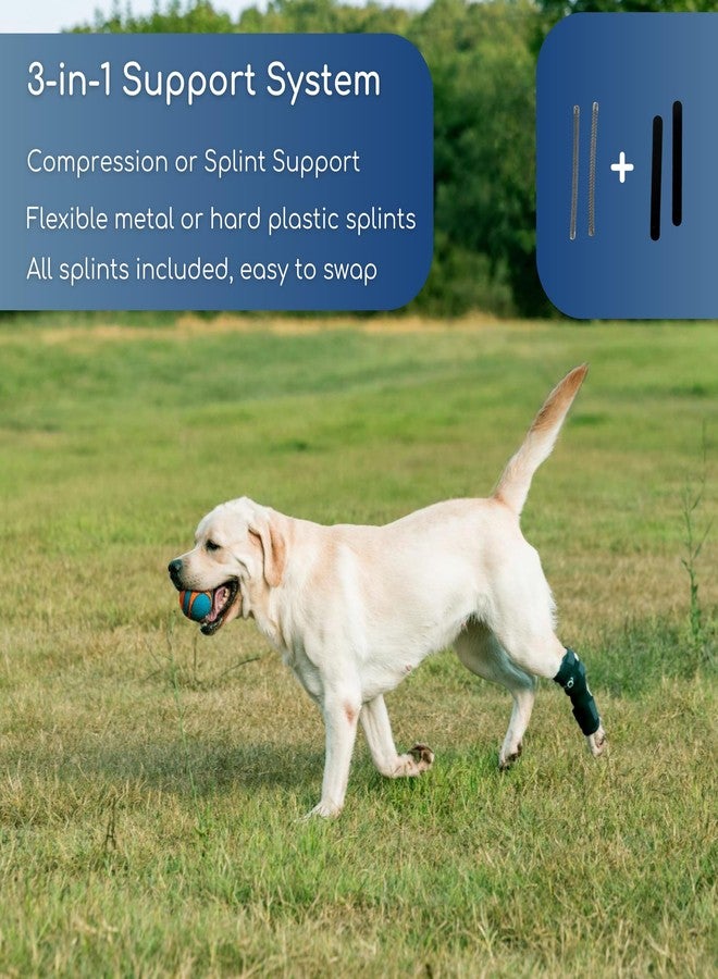Fico Dog Hock Brace for Ankle Support & Arthritis, Vet Approved Dog Back Leg Brace, Adjustable with Removable Splints, Orthopedic Support for Injuries, Sprains & Post-Surgery Recovery (X Small) - Image 3